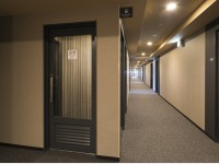 �i���u�[�X�i�q���t���A�j