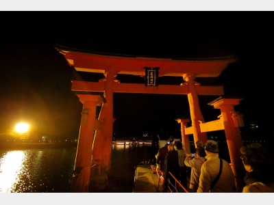 ナイトクルージング