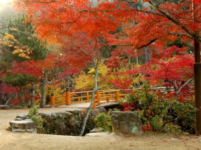 紅葉谷公園／秋