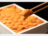 �k�Y�_�O�@�C���[�W