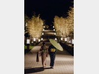 夜のそぞろ歩き