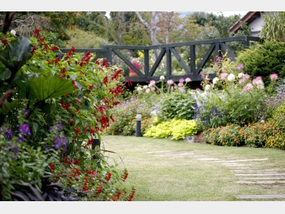 イングリッシュガーデン　秋