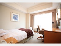 �V���O���@�q�����