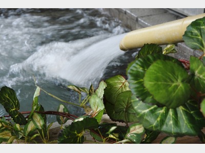 湯量豊富な天然温泉