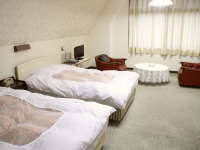 �y�������z�X���b�m���E�c�C�����[����Wi-Fi�ڑ�����