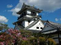 �y���ӊό��z���m��܂œ��ق���ԂŖ�8��