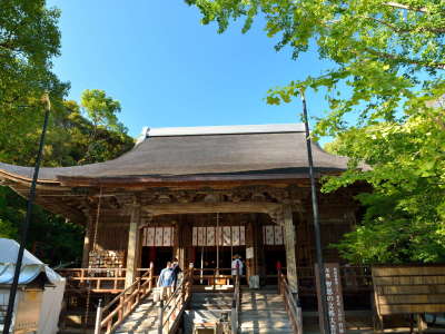 【お遍路】（四国八十八ヶ所）第31番札所/竹林寺