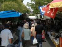 �y���ӊό��z���j�s�܂œ��ق���k���Ŗ�15��