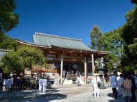 �y���՘H�z�i�l�����\�������j��30�ԎD��/�P�y��