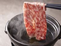 �y���ʉ�ȁz�H(2025�N9���`11��)  