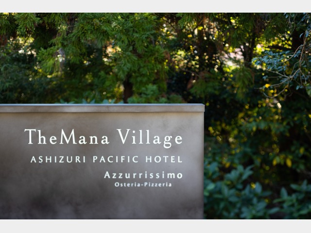 TheMana Village