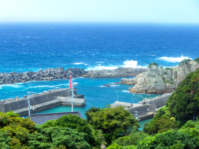 【海側DX和洋室】[眺望] 