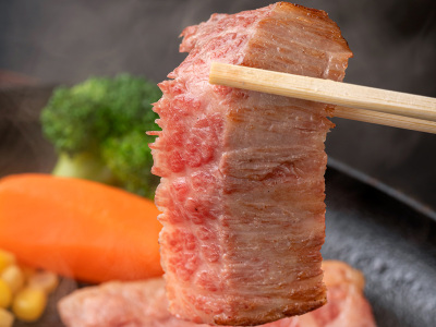 【山海堪能御膳】＜土佐和牛ステーキ＞