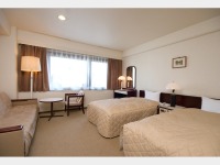 �c�C���q�����