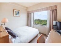 �q�����i�V���O���j