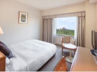 �X�^���_�[�h�N�C�[�����[���i�L���b�X���r���[�j�C���[�W