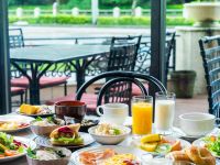 ���H�r���b�t�F