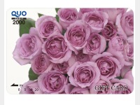 �N�I�J�[�h2000�~