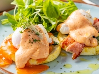 �y�u���b�N�t�@�[�X�g�z���j���[���F�Ƃ낯�闑�ɁA���������\�[�X�̎|�݂��d�Ȃ��ґ�G�b�O�x�l�f�B�N�g