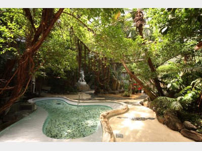 ジャングル風呂