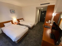 �X�^���_�[�h�c�C�����[���i�։��j