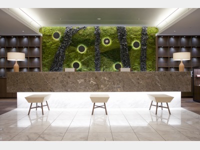 フロントイメージ