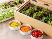 ���H�r���b�t�F�F�V�N�Ȗ�؂ɂ��D���ȃg�b�s���O�ƃh���b�V���O�ŃI���W�i���T���_���i�C���[�W�j