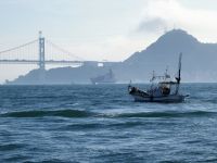 �I�[���C���N���[�V�u�i�C���[�W�j