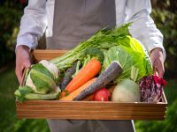 �I�[���C���N���[�V�u�i�C���[�W�j