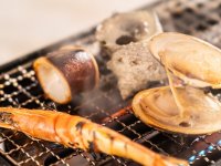 �y���ʉ�ȁz�t�i2026�N3���`5���j