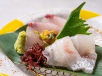 �y���ʉ�ȁz�t�i2026�N3���`5���j