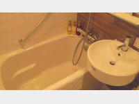 �V���O�����[���i�����j