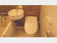 �V���O�����[���i�g�C���j