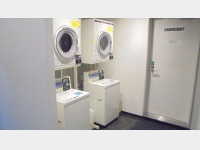 �R�C�������h���[�i�L���j