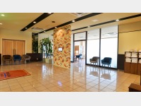 �q���r�[�r