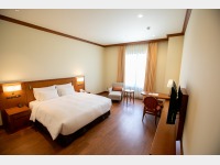 �G���p�C�A�L���O