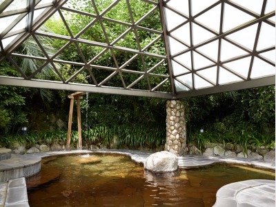 日中の庭園露天風呂