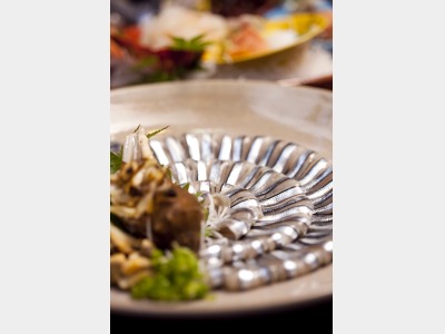 きびなごの刺身