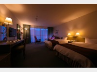 �V�كf���b�N�X�c�C��