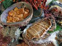 ���̈����