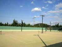 �S�V�΃e�j�X�R�[�g3�ʁi�k��5���j