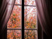 �X�[�y���A���[�����]���