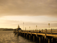 �z�e�����ʂɍL����呺�p�̕��i