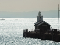 �����ɂ͊C���L���L���ƋP�����������i������鎖��