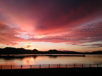 �����ɂ͌��z�I�ȕ��i������邱�Ƃ�