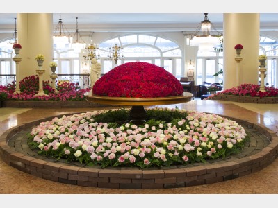 ロビー（バラ）