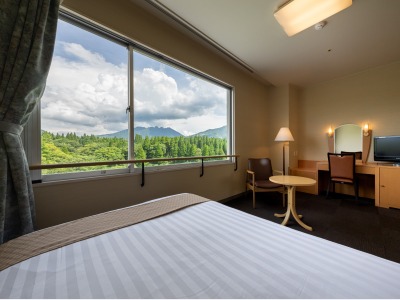 セミダブルルームイメージ