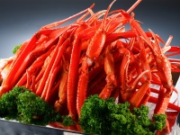 [H2022N8AlC̃JjoCLOIhOBIƂ΃JjoCLOI