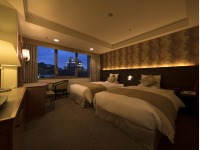 �c�C�����[�� �L���b�X���r���[