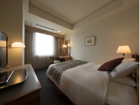 �V���O�����[��